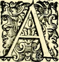 An illustration from Imprese illustri di diuersi, coi discorsi di Camillo Camilli, et con le figure intagliate in rame di Girolamo Porro Padouano .. (1586)