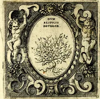 An illustration from Imprese illustri di diuersi, coi discorsi di Camillo Camilli, et con le figure intagliate in rame di Girolamo Porro Padouano .. (1586)
