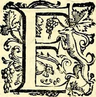 An illustration from Imprese illustri di diuersi, coi discorsi di Camillo Camilli, et con le figure intagliate in rame di Girolamo Porro Padouano .. (1586)
