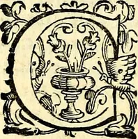 An illustration from Imprese illustri di diuersi, coi discorsi di Camillo Camilli, et con le figure intagliate in rame di Girolamo Porro Padouano .. (1586)