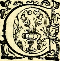 An illustration from Imprese illustri di diuersi, coi discorsi di Camillo Camilli, et con le figure intagliate in rame di Girolamo Porro Padouano .. (1586)
