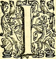 An illustration from Imprese illustri di diuersi, coi discorsi di Camillo Camilli, et con le figure intagliate in rame di Girolamo Porro Padouano .. (1586)