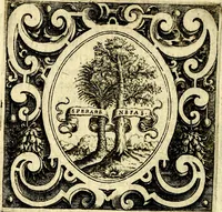 An illustration from Imprese illustri di diuersi, coi discorsi di Camillo Camilli, et con le figure intagliate in rame di Girolamo Porro Padouano .. (1586)