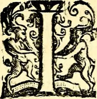 An illustration from Imprese illustri di diuersi, coi discorsi di Camillo Camilli, et con le figure intagliate in rame di Girolamo Porro Padouano .. (1586)