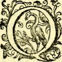 An illustration from Imprese illustri di diuersi, coi discorsi di Camillo Camilli, et con le figure intagliate in rame di Girolamo Porro Padouano .. (1586)