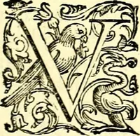 An illustration from Imprese illustri di diuersi, coi discorsi di Camillo Camilli, et con le figure intagliate in rame di Girolamo Porro Padouano .. (1586)