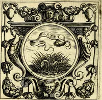 An illustration from Imprese illustri di diuersi, coi discorsi di Camillo Camilli, et con le figure intagliate in rame di Girolamo Porro Padouano .. (1586)