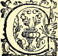 An illustration from Imprese illustri di diuersi, coi discorsi di Camillo Camilli, et con le figure intagliate in rame di Girolamo Porro Padouano .. (1586)