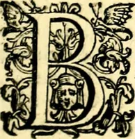 An illustration from Imprese illustri di diuersi, coi discorsi di Camillo Camilli, et con le figure intagliate in rame di Girolamo Porro Padouano .. (1586)