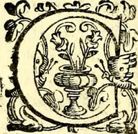 An illustration from Imprese illustri di diuersi, coi discorsi di Camillo Camilli, et con le figure intagliate in rame di Girolamo Porro Padouano .. (1586)