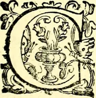 An illustration from Imprese illustri di diuersi, coi discorsi di Camillo Camilli, et con le figure intagliate in rame di Girolamo Porro Padouano .. (1586)