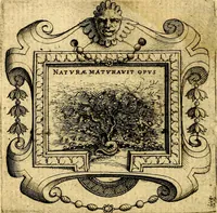 An illustration from Imprese illustri di diuersi, coi discorsi di Camillo Camilli, et con le figure intagliate in rame di Girolamo Porro Padouano .. (1586)