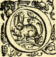 An illustration from Imprese illustri di diuersi, coi discorsi di Camillo Camilli, et con le figure intagliate in rame di Girolamo Porro Padouano .. (1586)