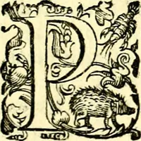 An illustration from Imprese illustri di diuersi, coi discorsi di Camillo Camilli, et con le figure intagliate in rame di Girolamo Porro Padouano .. (1586)