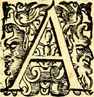 An illustration from Imprese illustri di diuersi, coi discorsi di Camillo Camilli, et con le figure intagliate in rame di Girolamo Porro Padouano .. (1586)