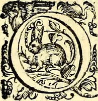 An illustration from Imprese illustri di diuersi, coi discorsi di Camillo Camilli, et con le figure intagliate in rame di Girolamo Porro Padouano .. (1586)