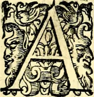 An illustration from Imprese illustri di diuersi, coi discorsi di Camillo Camilli, et con le figure intagliate in rame di Girolamo Porro Padouano .. (1586)