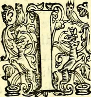 An illustration from Imprese illustri di diuersi, coi discorsi di Camillo Camilli, et con le figure intagliate in rame di Girolamo Porro Padouano .. (1586)