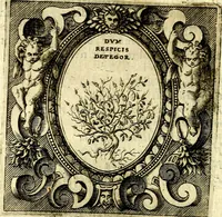 An illustration from Imprese illustri di diuersi, coi discorsi di Camillo Camilli, et con le figure intagliate in rame di Girolamo Porro Padouano .. (1586)