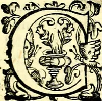 An illustration from Imprese illustri di diuersi, coi discorsi di Camillo Camilli, et con le figure intagliate in rame di Girolamo Porro Padouano .. (1586)