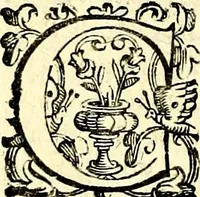 An illustration from Imprese illustri di diuersi, coi discorsi di Camillo Camilli, et con le figure intagliate in rame di Girolamo Porro Padouano .. (1586)