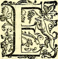 An illustration from Imprese illustri di diuersi, coi discorsi di Camillo Camilli, et con le figure intagliate in rame di Girolamo Porro Padouano .. (1586)