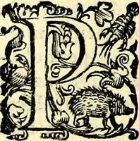 An illustration from Imprese illustri di diuersi, coi discorsi di Camillo Camilli, et con le figure intagliate in rame di Girolamo Porro Padouano .. (1586)