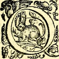 An illustration from Imprese illustri di diuersi, coi discorsi di Camillo Camilli, et con le figure intagliate in rame di Girolamo Porro Padouano .. (1586)