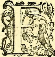 An illustration from Imprese illustri di diuersi, coi discorsi di Camillo Camilli, et con le figure intagliate in rame di Girolamo Porro Padouano .. (1586)
