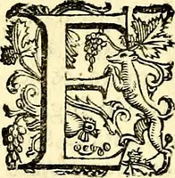 An illustration from Imprese illustri di diuersi, coi discorsi di Camillo Camilli, et con le figure intagliate in rame di Girolamo Porro Padouano .. (1586)