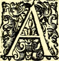 An illustration from Imprese illustri di diuersi, coi discorsi di Camillo Camilli, et con le figure intagliate in rame di Girolamo Porro Padouano .. (1586)