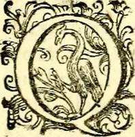 An illustration from Imprese illustri di diuersi, coi discorsi di Camillo Camilli, et con le figure intagliate in rame di Girolamo Porro Padouano .. (1586)