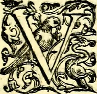 An illustration from Imprese illustri di diuersi, coi discorsi di Camillo Camilli, et con le figure intagliate in rame di Girolamo Porro Padouano .. (1586)
