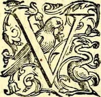 An illustration from Imprese illustri di diuersi, coi discorsi di Camillo Camilli, et con le figure intagliate in rame di Girolamo Porro Padouano .. (1586)