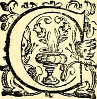 An illustration from Imprese illustri di diuersi, coi discorsi di Camillo Camilli, et con le figure intagliate in rame di Girolamo Porro Padouano .. (1586)
