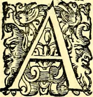 An illustration from Imprese illustri di diuersi, coi discorsi di Camillo Camilli, et con le figure intagliate in rame di Girolamo Porro Padouano .. (1586)
