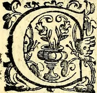 An illustration from Imprese illustri di diuersi, coi discorsi di Camillo Camilli, et con le figure intagliate in rame di Girolamo Porro Padouano .. (1586)