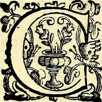 An illustration from Imprese illustri di diuersi, coi discorsi di Camillo Camilli, et con le figure intagliate in rame di Girolamo Porro Padouano .. (1586)
