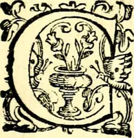 An illustration from Imprese illustri di diuersi, coi discorsi di Camillo Camilli, et con le figure intagliate in rame di Girolamo Porro Padouano .. (1586)