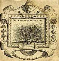 An illustration from Imprese illustri di diuersi, coi discorsi di Camillo Camilli, et con le figure intagliate in rame di Girolamo Porro Padouano .. (1586)