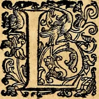 An illustration from Imprese illustri di diuersi, coi discorsi di Camillo Camilli, et con le figure intagliate in rame di Girolamo Porro Padouano .. (1586)