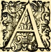 An illustration from Imprese illustri di diuersi, coi discorsi di Camillo Camilli, et con le figure intagliate in rame di Girolamo Porro Padouano .. (1586)