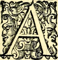 An illustration from Imprese illustri di diuersi, coi discorsi di Camillo Camilli, et con le figure intagliate in rame di Girolamo Porro Padouano .. (1586)