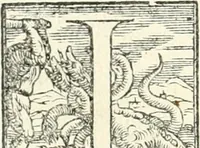 An illustration from Le imprese illvstri : con espositioni et discorsi (1566)