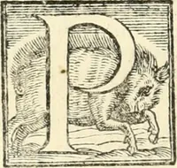 An illustration from Le imprese illvstri : con espositioni et discorsi (1566)