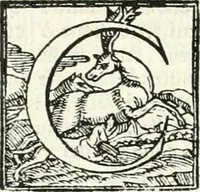 Picture 9 of 221 from Le imprese illvstri : con espositioni et discorsi (1566), leaf 33