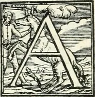 An illustration from Le imprese illvstri : con espositioni et discorsi (1566)