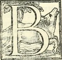 Picture 163 of 221 from Le imprese illvstri : con espositioni et discorsi (1566), leaf 486