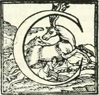 An illustration from Le imprese illvstri : con espositioni et discorsi (1566)