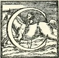 An illustration from Le imprese illvstri : con espositioni et discorsi (1566)